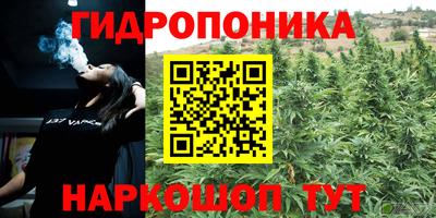 прущие грибы Бузулук